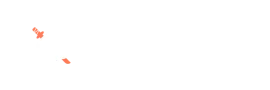 Ninja Casino